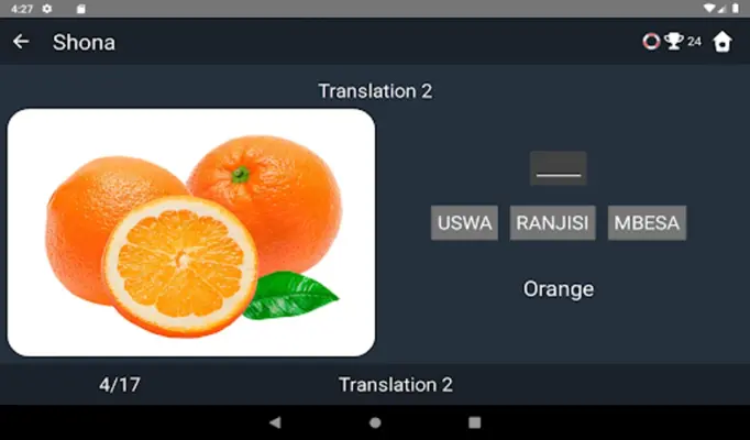 Shona Language Tests android App screenshot 12