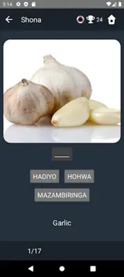 Shona Language Tests android App screenshot 20