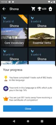 Shona Language Tests android App screenshot 21